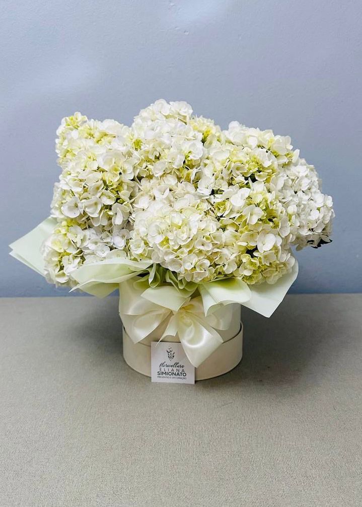 Box Flower Hort�nsia