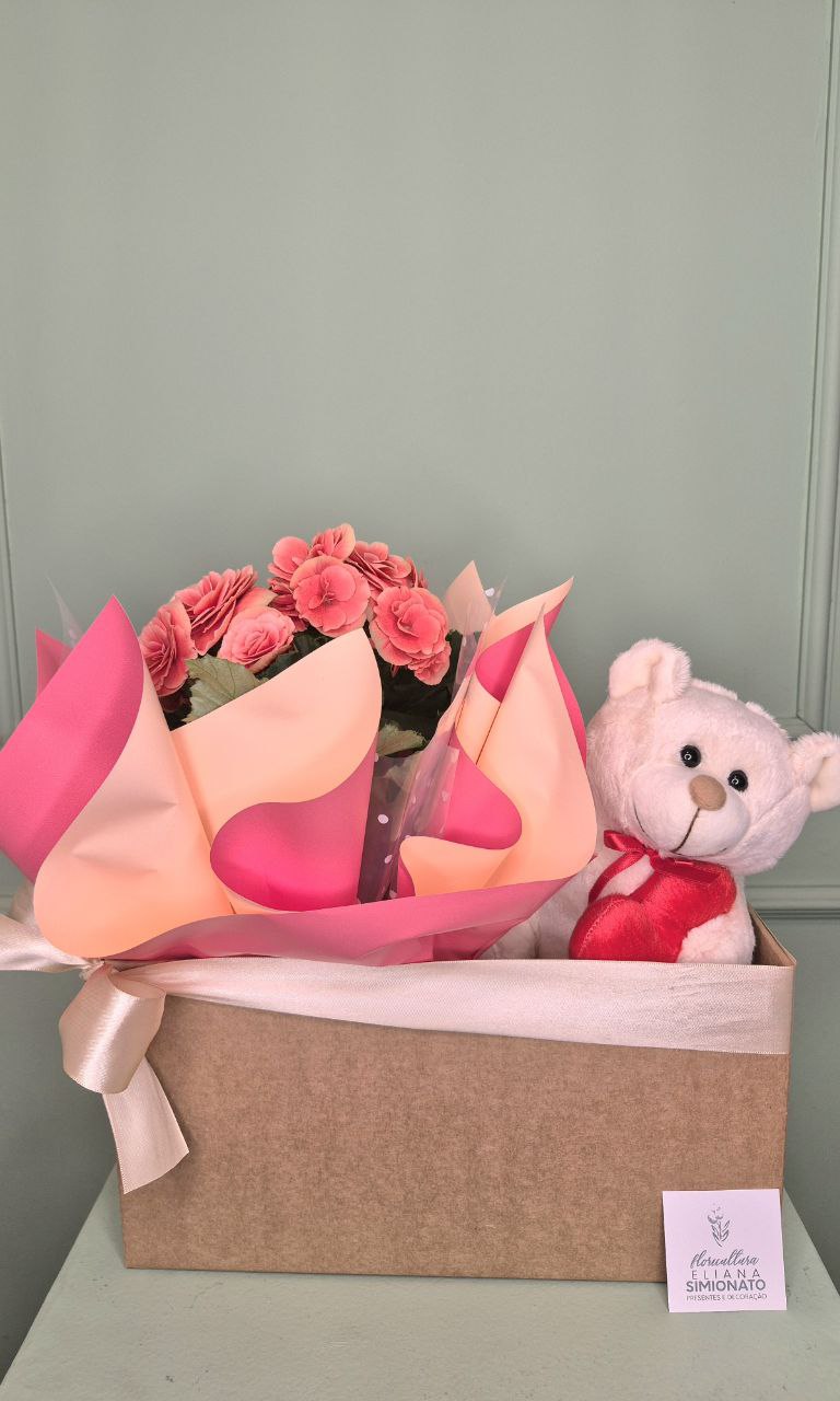 Kit Beg�nia e Ursinho com Cora��o