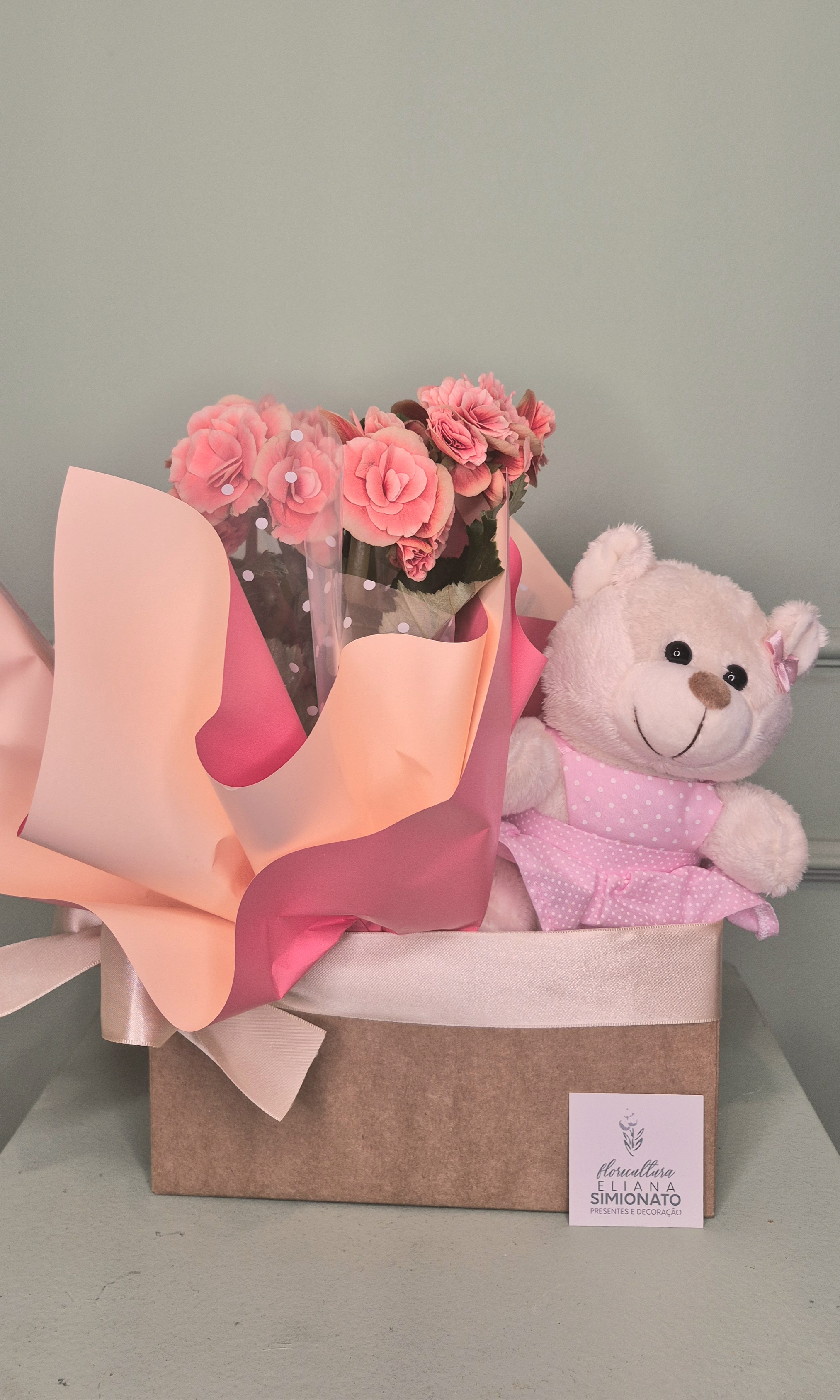 Kit Beg�nia e Usinha de Vestido