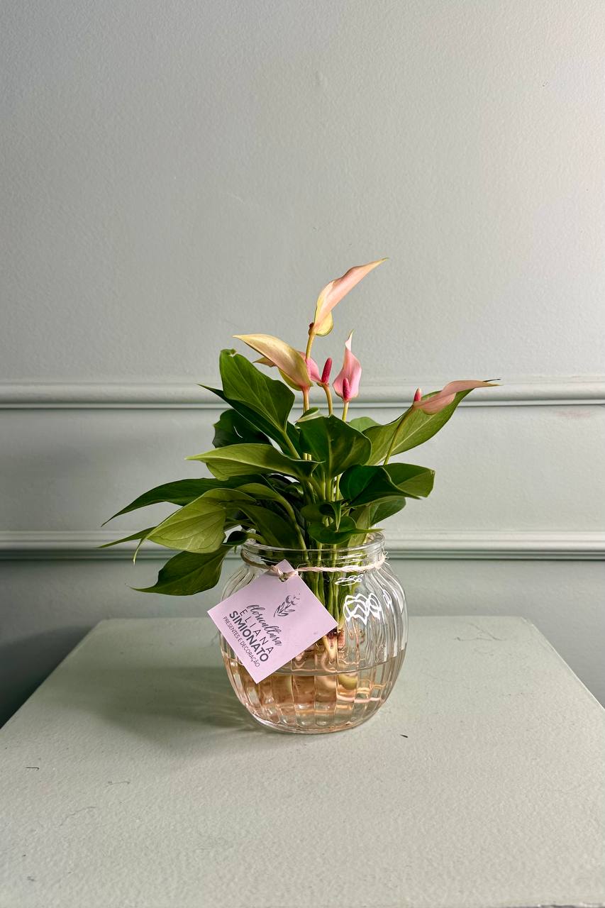 Mini Ant�rio no Vaso de Vidro