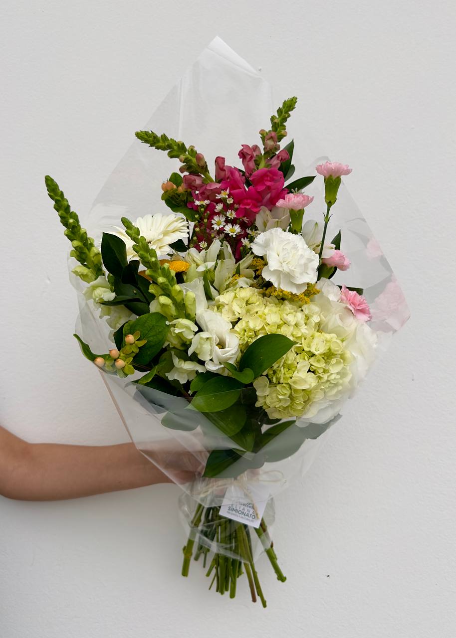 Plano Daniela Semanal