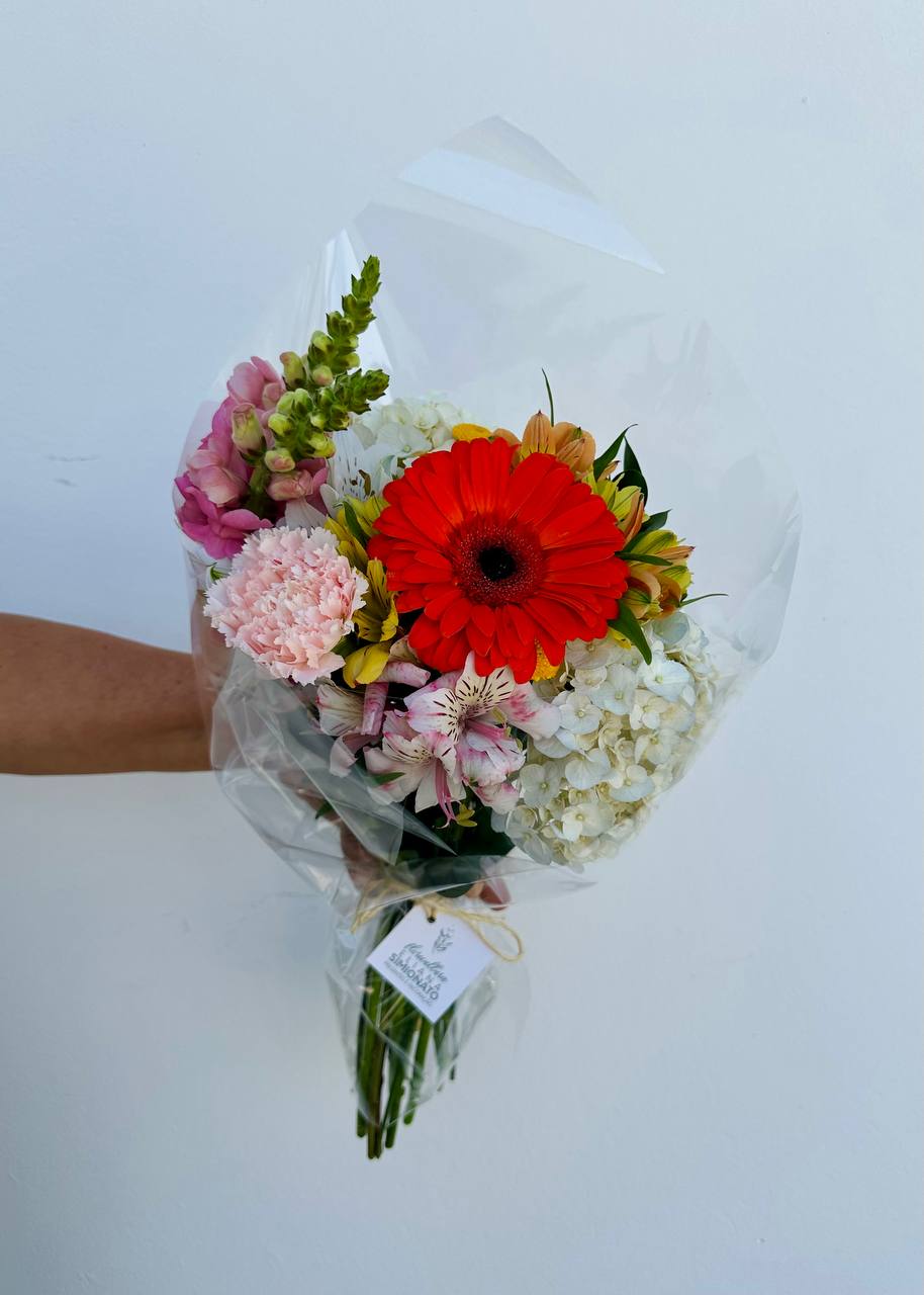 Plano Areta Quinzenal