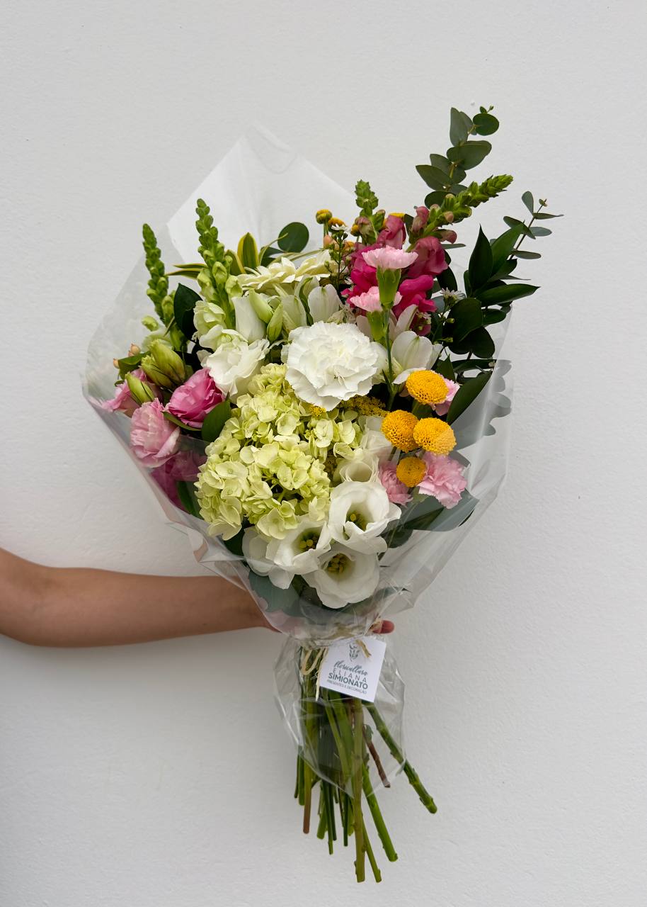 Plano Eliana Semanal