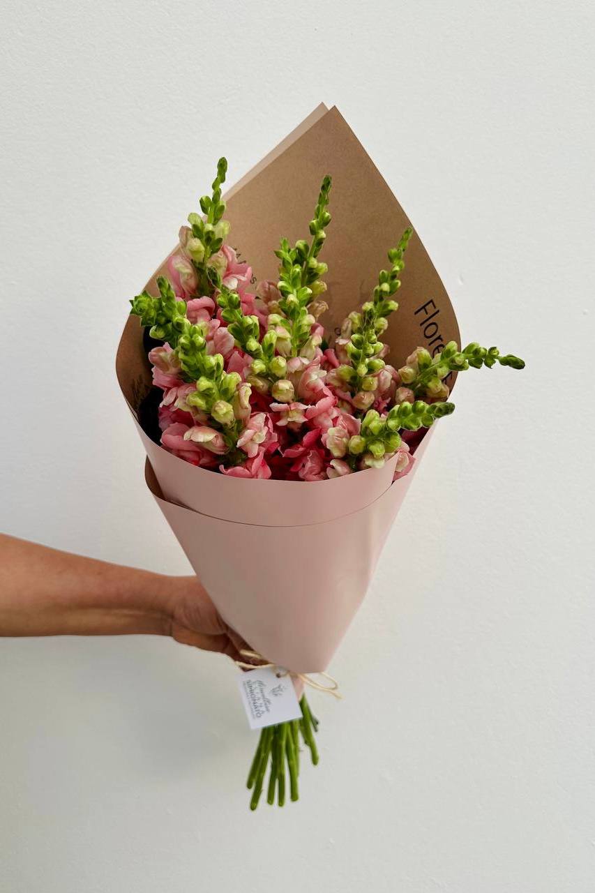 Buqu� de Boca-de-Le�o Rosa