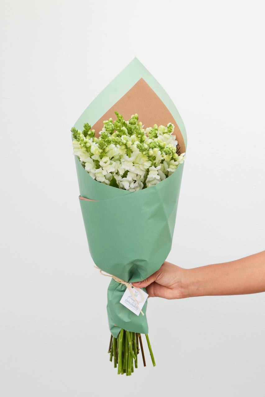 Buqu� de Boca-de-Le�o Branca