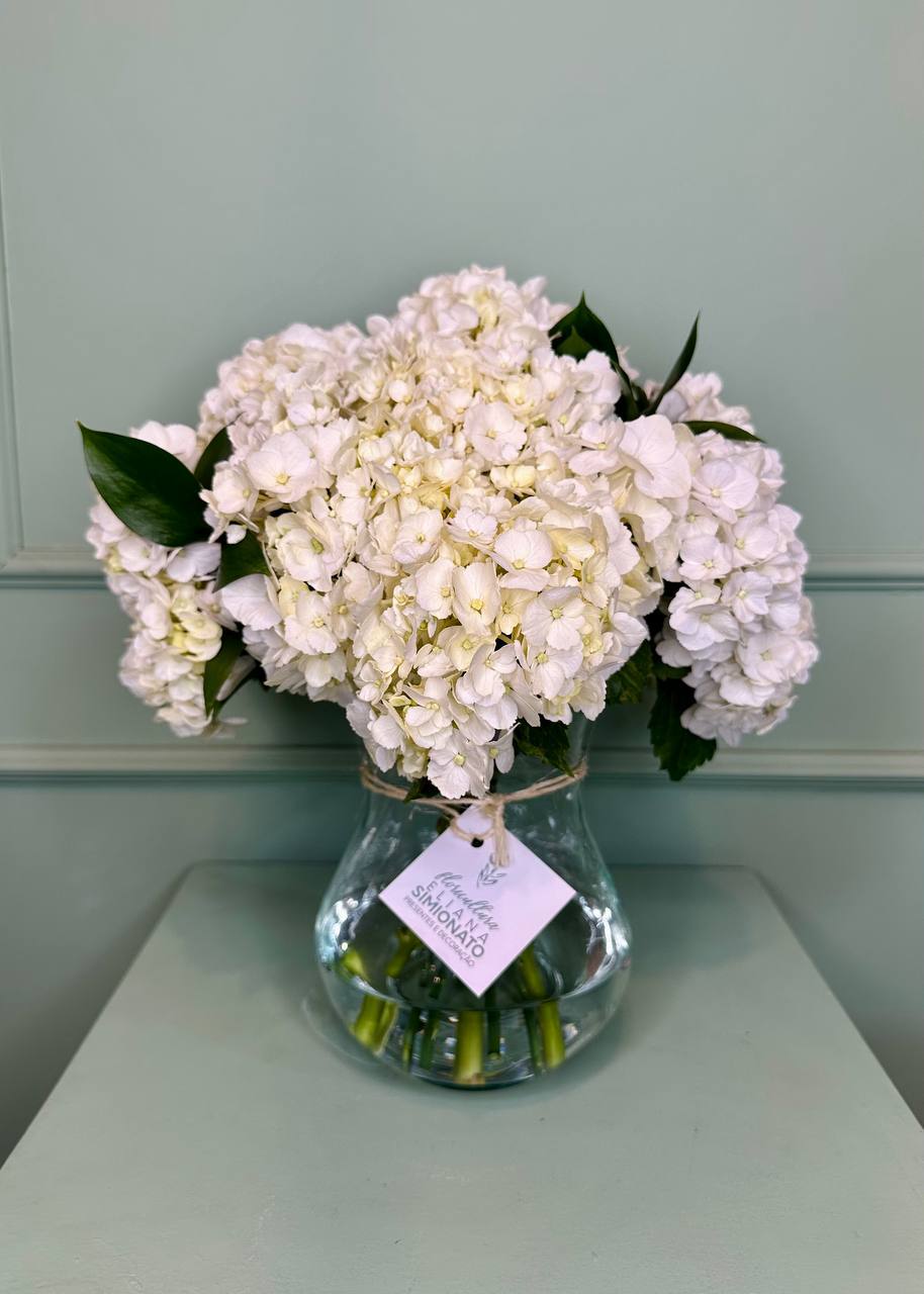 Vaso com Hort�nsia