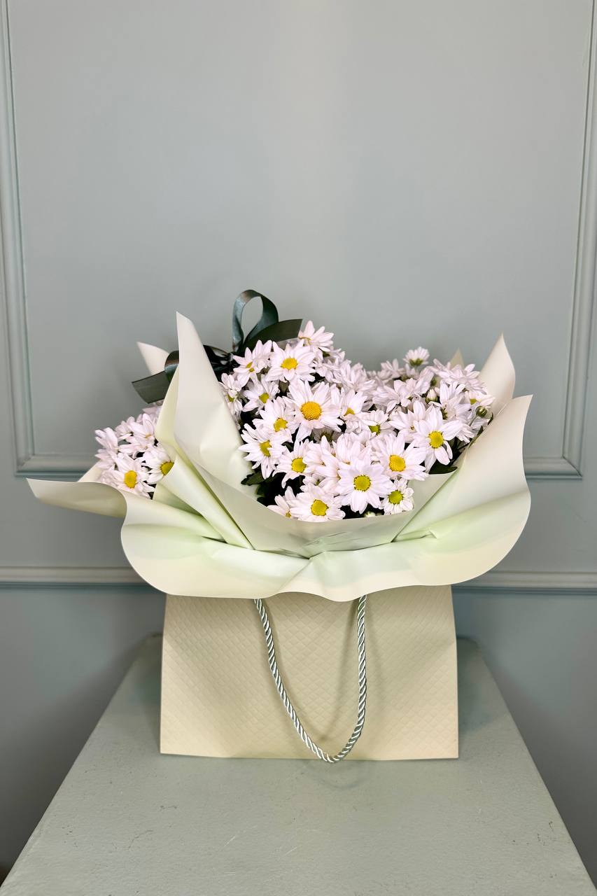 Mini Margarida na Sacola Verde