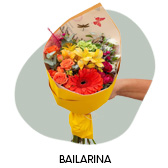 Buqu� Bailarina